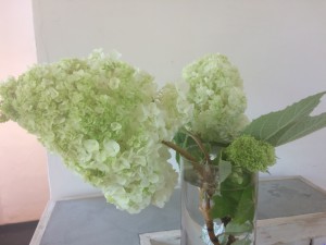 CC952927-FD84-4DFD-98CF-4E7DD7C9D26C